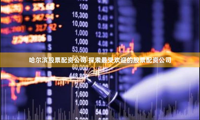 哈尔滨股票配资公司 探索最受欢迎的股票配资公司