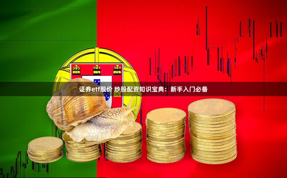 证券etf股价 炒股配资知识宝典：新手入门必备
